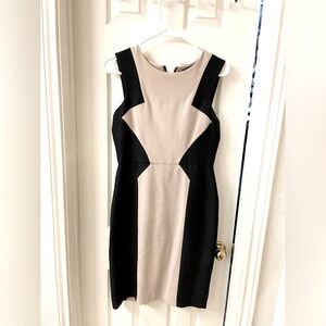 BCBG dress